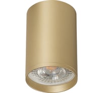 Накладной светильник DENKIRS TUBE DK2050-SG