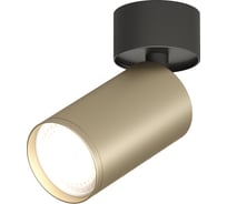 Накладной светильник DENKIRS DK2029-BG