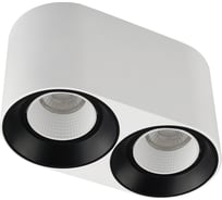 Накладной светильник DENKIRS DK3096-WB+WH