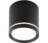 Накладной светильник DENKIRS DK4013-BK