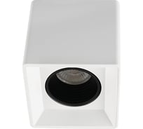 Накладной светильник DENKIRS DK3080-WH+BK