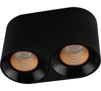 Накладной светильник DENKIRS DK3096-BK+BR