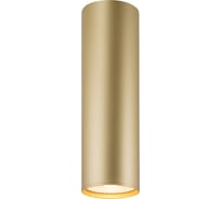 Накладной светильник DENKIRS TUBE DK2052-SG