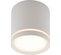 Накладной светильник DENKIRS DK4016-WH