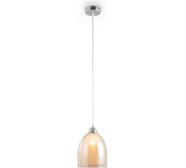 Подвесной светильник Freya astery 1хe27x60w металл хром FR5375PL-01CH1