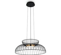 Подвесной светильник Freya citrus 8w металл черный FR5398PL-L6B