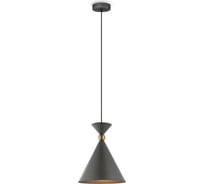Подвесной светильник Freya moth 1хe27x60w металл серый FR5392PL-01GR