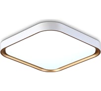 Потолочный светодиодный светильник Ambrella Light ORBITAL FZ1259