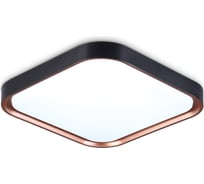 Потолочный светодиодный светильник Ambrella Light ORBITAL FZ1265