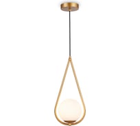 Подвесной светильник Ambrella Light TRADITIONAL TR2599