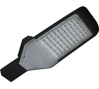 Светодиодный светильник Jazzway консольный PSL 02 PRO-5 BL 50Вт 5000К IP65 85-265В ДКУ уличный 5019959