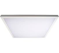 Светодиодный светильник Jazzway PPL PRO-5 595/U OPAL 36Вт 4000К IP40 3960лм ДВО/ДПО универс. 310мА 38мм 5025165