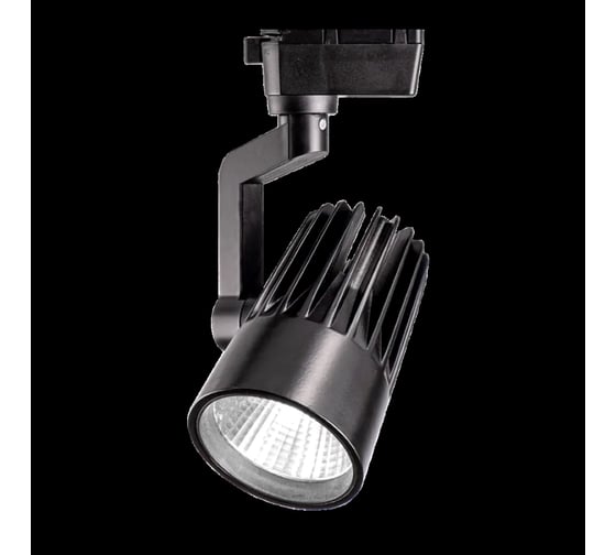 Светодиодный светильник Jazzway трековый PTR 0130-2 30Вт 4000К IP40 24 градуса BL черный 5022713