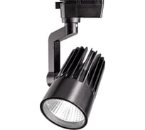 Прожектор Jazzway PTR 0125-2 25w 4000K 24гр. BL чёрный IP40 5023949
