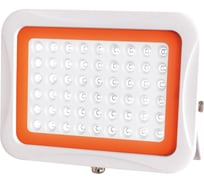 Прожектор Jazzway PFL -SA-100w 6500K 60гр. IP65 5007994