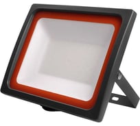 Светодиодный прожектор Jazzway PFL-SC 100Вт 6500К IP65 190-260В закаленное матовое стекло 5001428