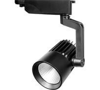 Прожектор Jazzway PTR 0125 25w 4000K 24гр. BL чёрный IP40 5010543