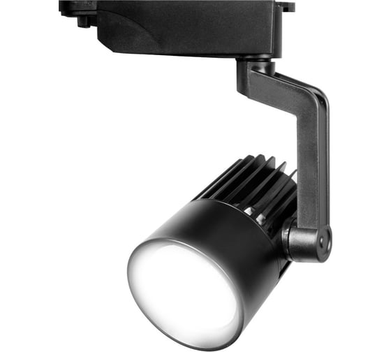 Прожектор Jazzway PTR 0125 25w 4000K 24гр. BL чёрный IP40 5010543