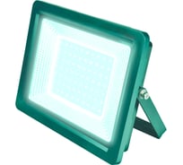 Светодиодный прожектор Uniel ULF-F19-70W 6500K IP65 175-250В BLACK UL-00006738