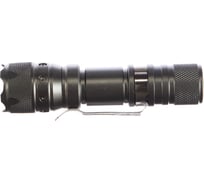 Фонарь ФАZА A8-L1WZ-1AA титан 2851659