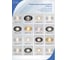 Светильник Lightstandart Stella 51 2 04 алюминиевый, декоративный MR16, белый/золото IT8488 4