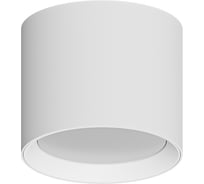 Точечный накладной светильник ARTE LAMP intercrus A5548PL-1WH