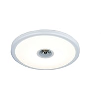 Светильник со светодиодной подсветкой Elektrostandard 9912 LED 6+4W WH белый a043963