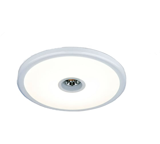 Светильник со светодиодной подсветкой Elektrostandard 9912 LED 6+4W WH белый a043963 1