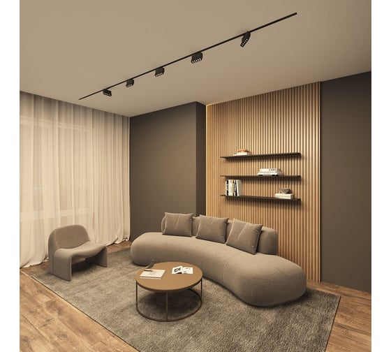 Трековый светильник DENKIRS Edder DK6436-BK