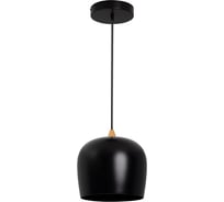 Светильник Arlight SP-PEONY-HANG-R250-15W Warm3000 1шт 039550