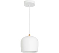 Светильник Arlight SP-PEONY-HANG-R250-15W Day4000 1шт 039547