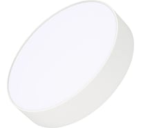 Светильник Arlight SP-RONDO-R250-20W Day4000 1шт 035534