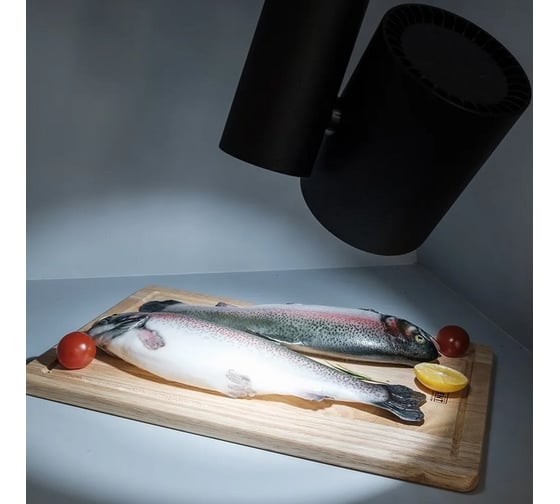 Светильник Arlight LGD-SHOP-4TR-R100-40W Cool SP7500-Fish 1шт 026291