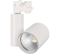 Светильник Arlight LGD-SHOP-4TR-R100-40W Cool SP7500-Fish 1шт 026387