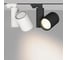 Светильник Arlight LGD-SHOP-4TR-R100-40W Cool SP7500-Fish 1шт 026387 2
