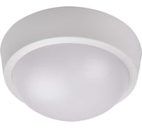 Светодиодный светильник Jazzway настенно-потолочный "Банник" PBH-PC-RA 24Вт 4000К белый IP65 ЖКХ пылевлагозащитный 5020788