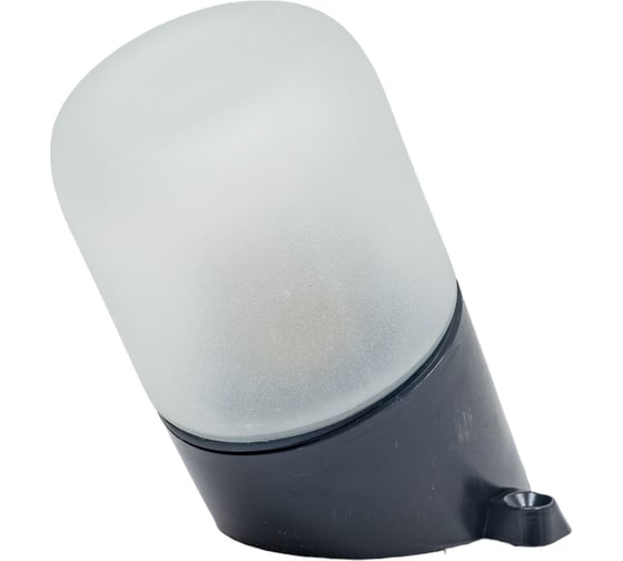 Светильник LightStandart Sauna 02 02 для бани/сауны IP65, цилиндр наклонный, 60Вт 1хЕ27, цвет черный, рабочая температура до +125C (НББ 01-60-002 УХЛ1) IT8889