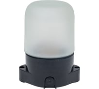 Светильник LightStandart Sauna 01 02 для бани/сауны IP65, цилиндр прямой, 60Вт 1хЕ27, цвет черный, рабочая температура до +125C (НББ 01-60-001 УХЛ1) IT8887