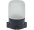Светильник LightStandart Sauna 01 02 для бани/сауны IP65, цилиндр прямой, 60Вт 1хЕ27, цвет черный, рабочая температура до +125C (НББ 01-60-001 УХЛ1) IT8887 1
