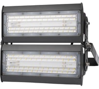 Светильник светодиодный PPI-02 2х50Вт 6500К IP65 230В/50Гц для высоких пролетов Jazzway 5016231