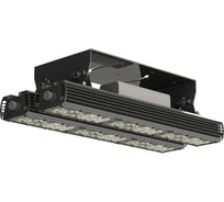 Светодиодный светильник SPECTRA PROM OPTIMA 2xLR-120 2xS3 IP 66