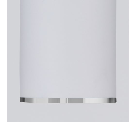 Накладной светильник Elektrostandard DLN101 GU10 WH белый a043967