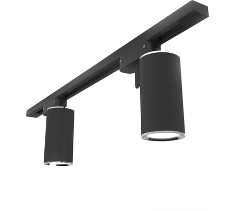 Трековый светильник Elektrostandard Rutero GU10 MRL 1002 черный, однофазный a044003