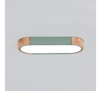 Потолочный светильник IMPERIUMLOFT LINN L65 Green 193589-26