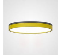 Потолочный светильник IMPERIUMLOFT KIER D50 Yellow 181030-26