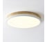 Потолочный светильник IMPERIUMLOFT DISC DH D38 White 189897-26 1