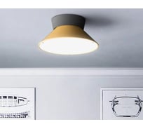 Потолочный светильник IMPERIUMLOFT KNAP D40 Yellow 193555-26