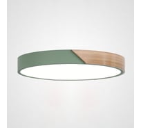 Потолочный светильник IMPERIUMLOFT CLIP Green D40 193047-26