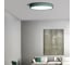 Потолочный светильник IMPERIUMLOFT KIER D30 Green 181021-26 2