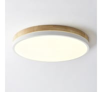 Потолочный светильник IMPERIUMLOFT DISC DH D27 White 189892-26